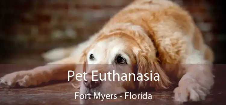 Pet Euthanasia Fort Myers - Florida