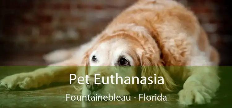 Pet Euthanasia Fountainebleau - Florida