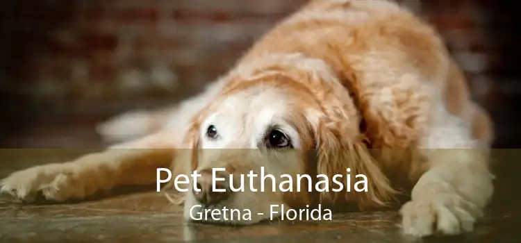 Pet Euthanasia Gretna - Florida
