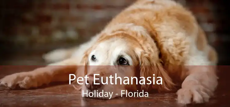 Pet Euthanasia Holiday - Florida