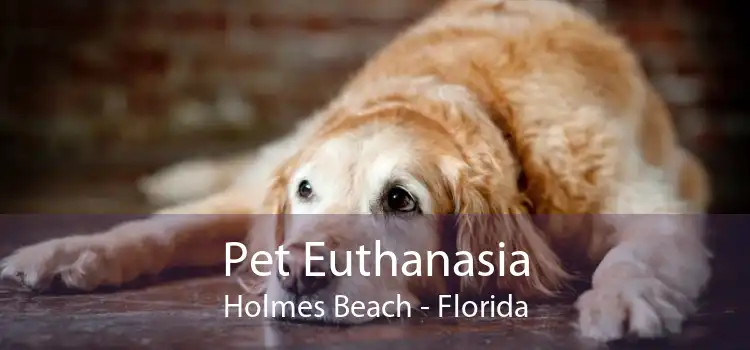 Pet Euthanasia Holmes Beach - Florida