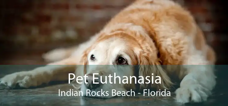 Pet Euthanasia Indian Rocks Beach - Florida