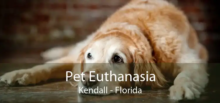 Pet Euthanasia Kendall - Florida
