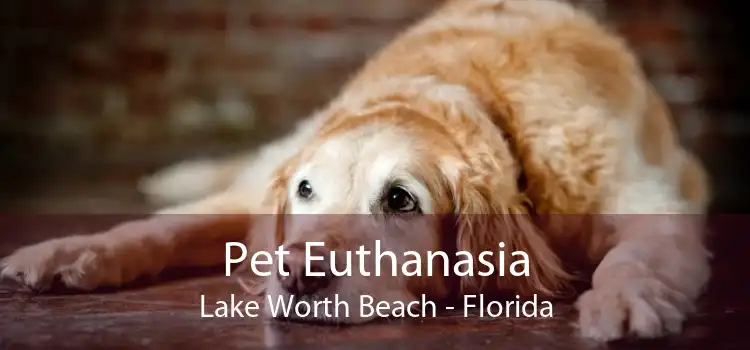 Pet Euthanasia Lake Worth Beach - Florida