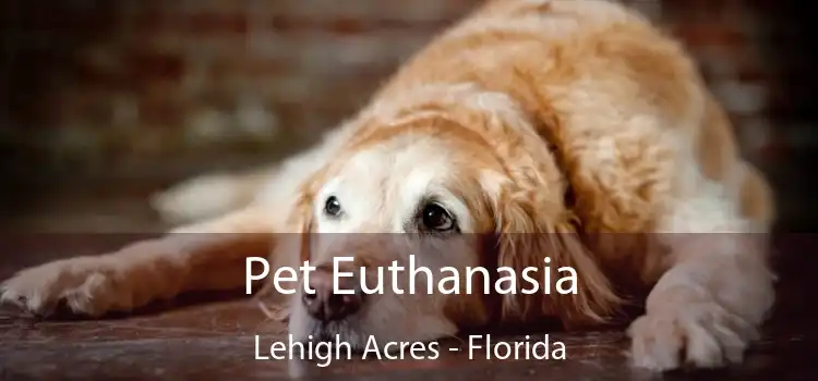 Pet Euthanasia Lehigh Acres - Florida