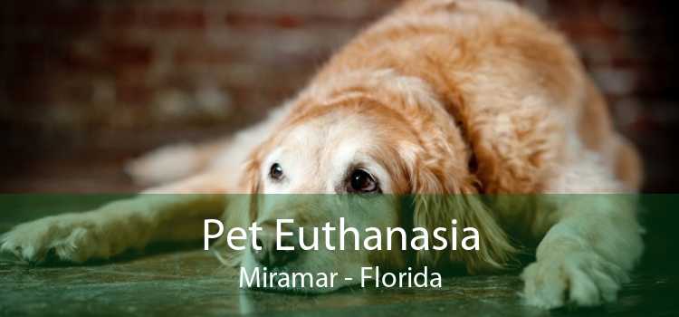 Pet Euthanasia Miramar - Florida