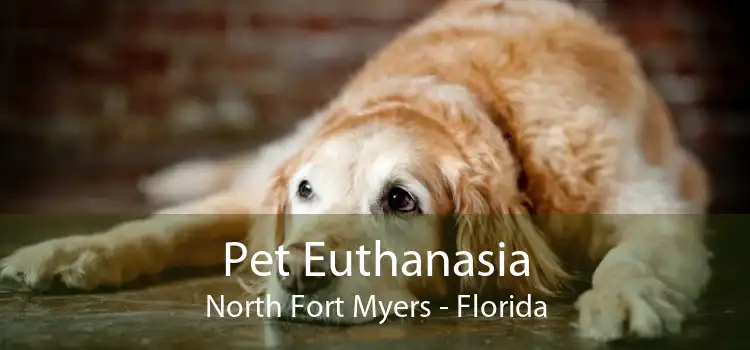 Pet Euthanasia North Fort Myers - Florida