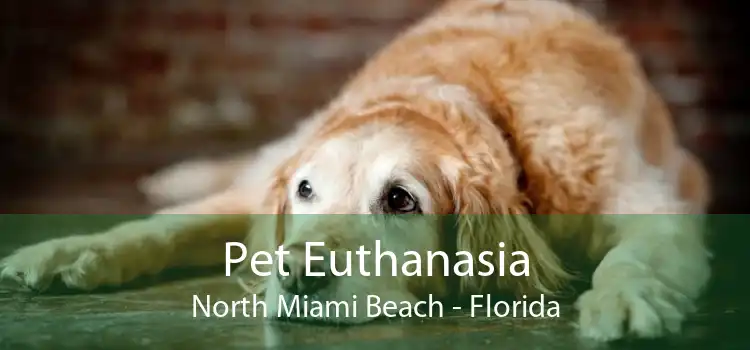 Pet Euthanasia North Miami Beach - Florida