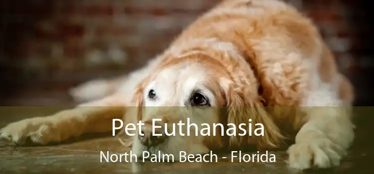 Pet Euthanasia North Palm Beach - Florida