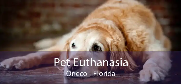 Pet Euthanasia Oneco - Florida