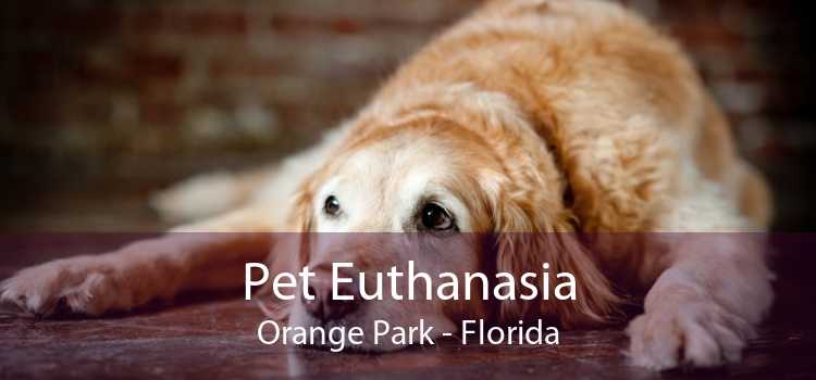 Pet Euthanasia Orange Park - Florida