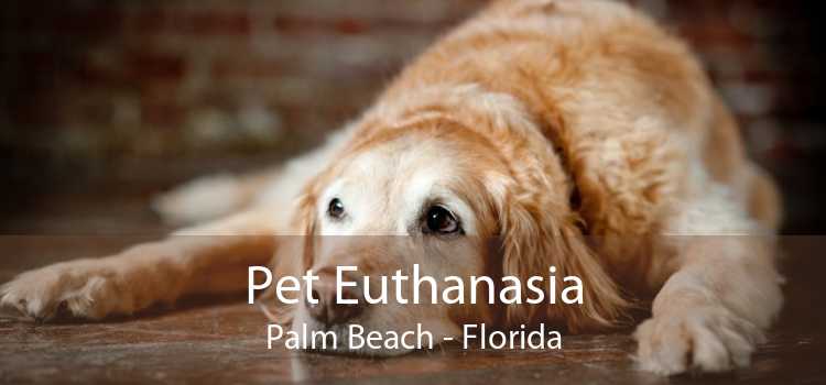 Pet Euthanasia Palm Beach - Florida