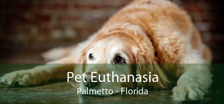 Pet Euthanasia Palmetto - Florida