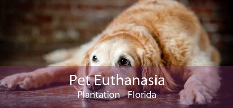 Pet Euthanasia Plantation - Florida