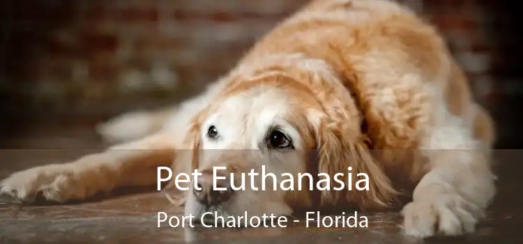 Pet Euthanasia Port Charlotte - Florida