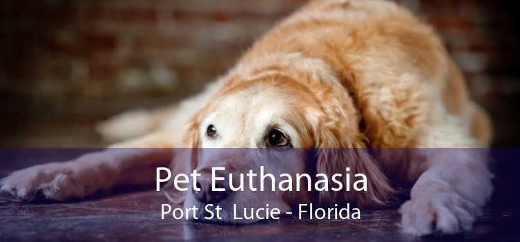 Pet Euthanasia Port St  Lucie - Florida