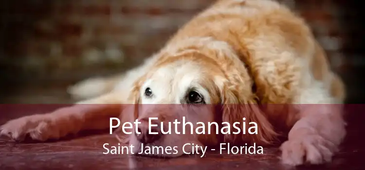 Pet Euthanasia Saint James City - Florida
