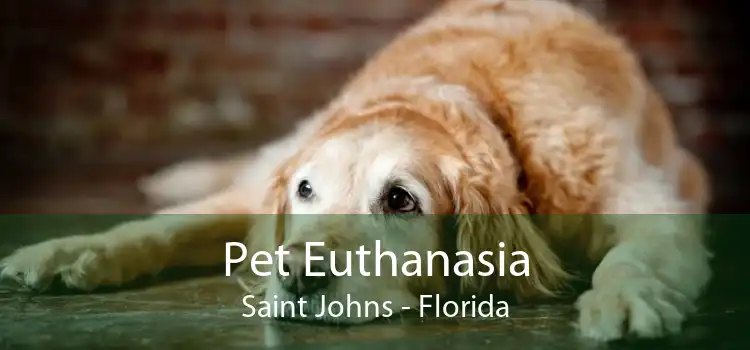 Pet Euthanasia Saint Johns - Florida