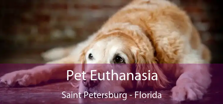 Pet Euthanasia Saint Petersburg - Florida
