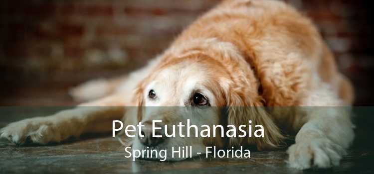 Pet Euthanasia Spring Hill - Florida