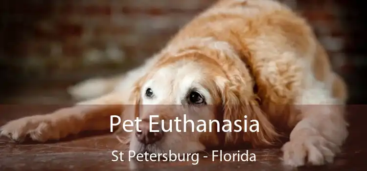Pet Euthanasia St Petersburg - Florida