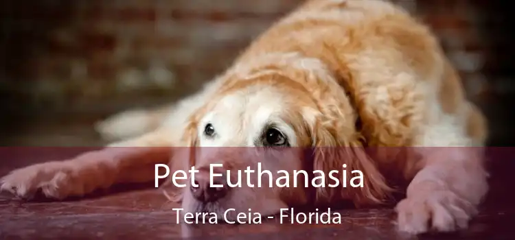Pet Euthanasia Terra Ceia - Florida