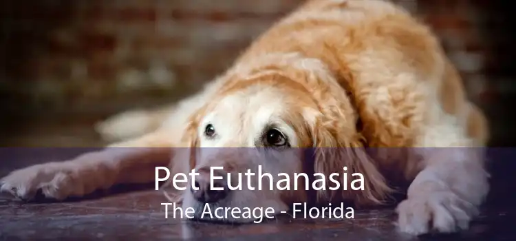 Pet Euthanasia The Acreage - Florida