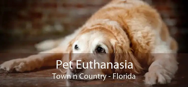 Pet Euthanasia Town n Country - Florida