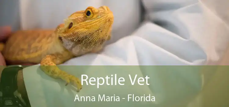 Reptile Vet Anna Maria - Florida