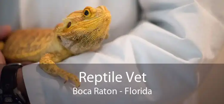 Reptile Vet Boca Raton - Florida