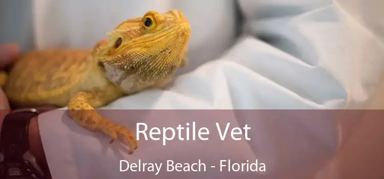 Reptile Vet Delray Beach - Florida