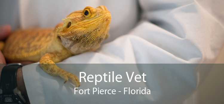 Reptile Vet Fort Pierce - Florida