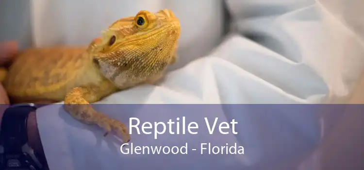 Reptile Vet Glenwood - Florida