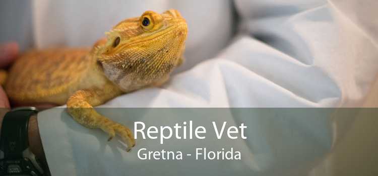 Reptile Vet Gretna - Florida