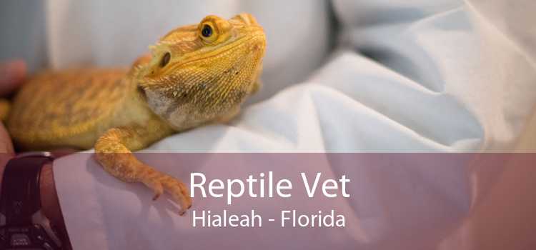 Reptile Vet Hialeah - Florida
