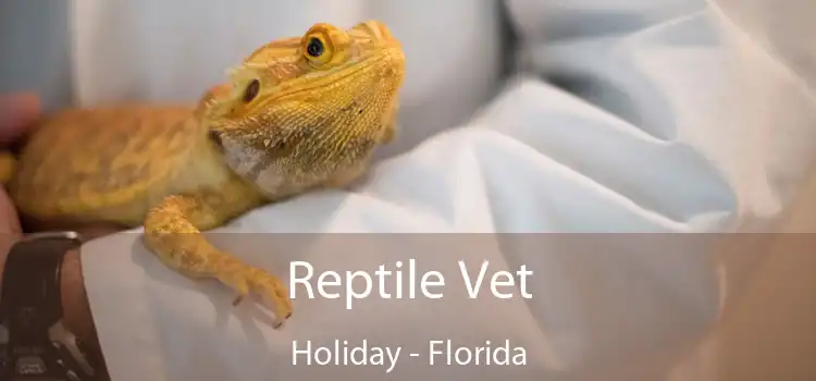 Reptile Vet Holiday - Florida