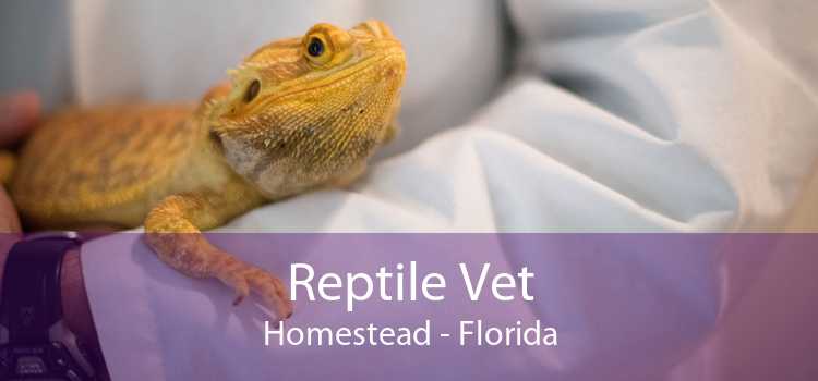 Reptile Vet Homestead - Florida