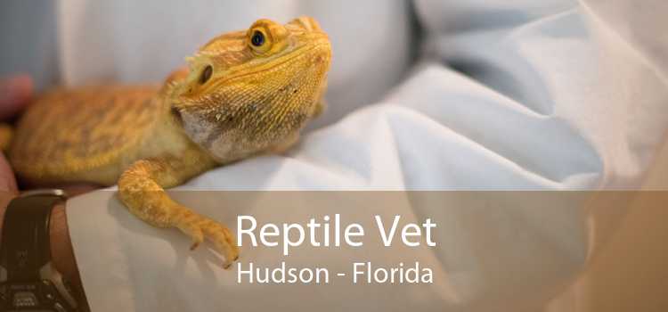 Reptile Vet Hudson - Florida