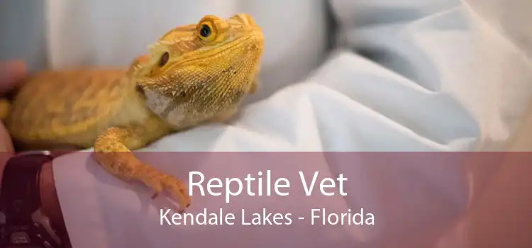 Reptile Vet Kendale Lakes - Florida