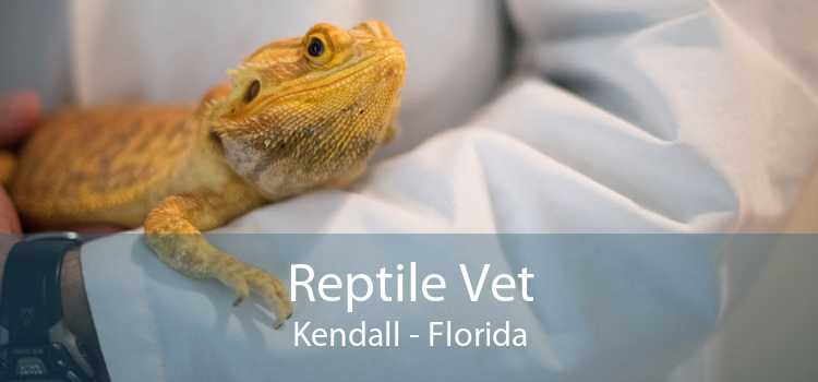 Reptile Vet Kendall - Florida