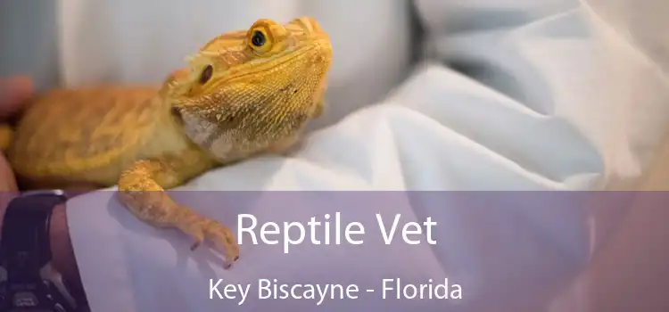 Reptile Vet Key Biscayne - Florida