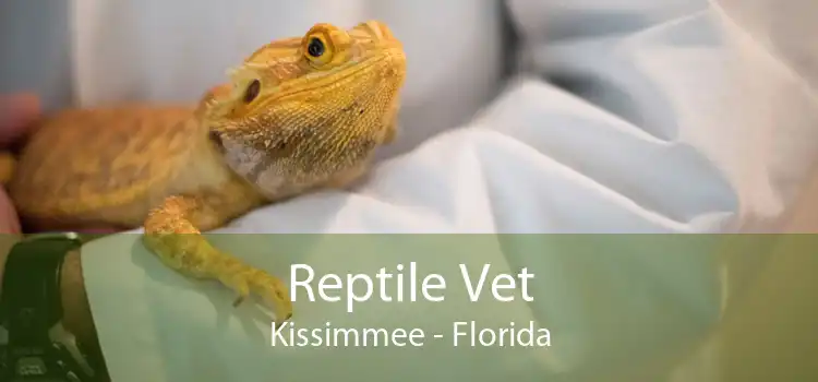 Reptile Vet Kissimmee - Florida