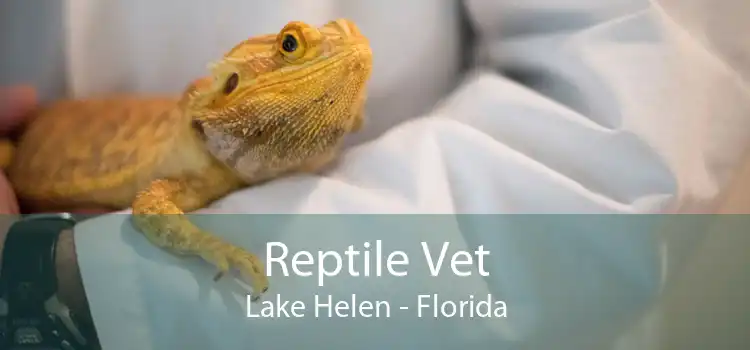 Reptile Vet Lake Helen - Florida