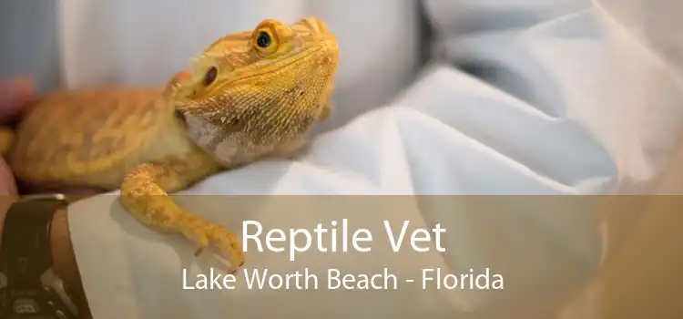 Reptile Vet Lake Worth Beach - Florida