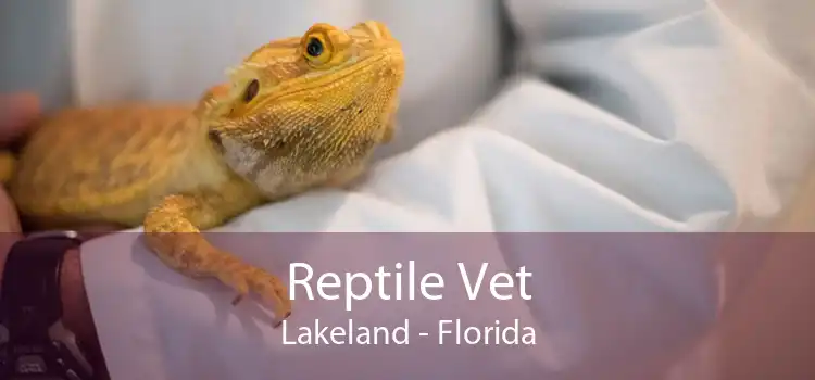 Reptile Vet Lakeland - Florida