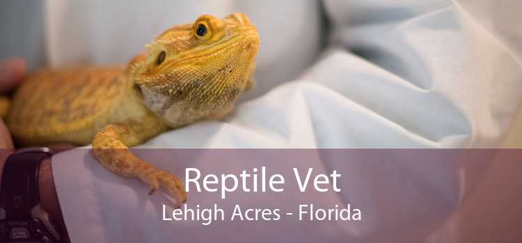 Reptile Vet Lehigh Acres - Florida