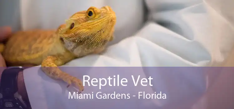 Reptile Vet Miami Gardens - Florida