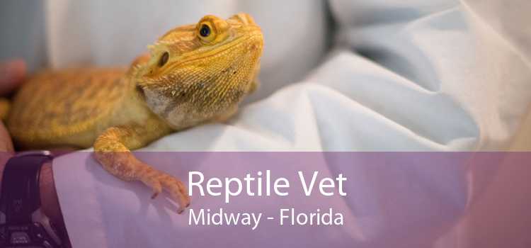 Reptile Vet Midway - Florida
