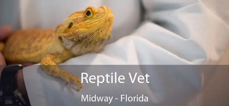 Reptile Vet Midway - Florida