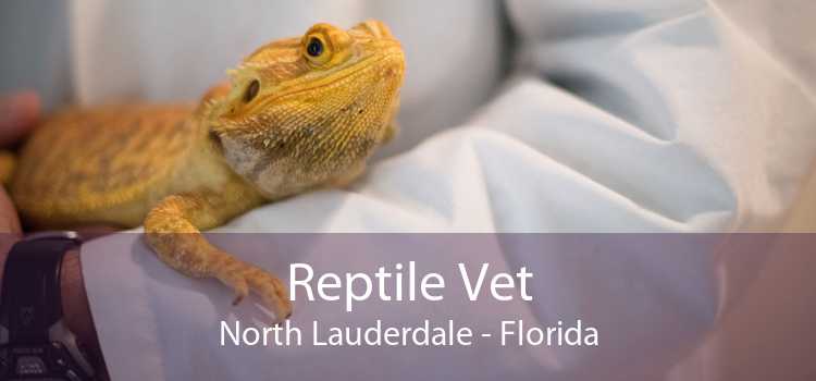 Reptile Vet North Lauderdale - Florida